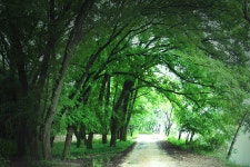 호크마[hokma] - RaySoda