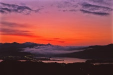 진고개신사 - RaySoda