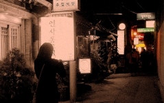 스틸가든 - RaySoda