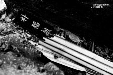 Image 350021 - RaySoda 임우순