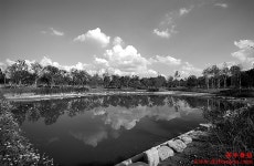 (^^)다반향초(^^)/ - RaySoda