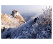 -그린비- - RaySoda