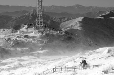 Image 365245 - RaySoda 새미기픈물