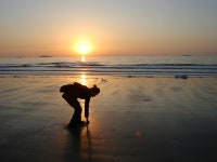 아리바바 - RaySoda