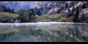 Image 392019 - RaySoda 로커스™