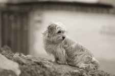 Image 400877 - RaySoda 새미기픈물