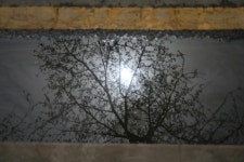 Image 403005 - RaySoda 얼벌꼬봉