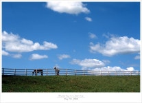 Image 408491 - RaySoda Ezcool