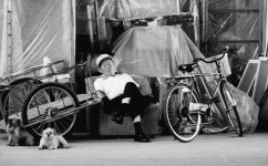 일방통행 - RaySoda