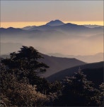 *빛그림 - RaySoda