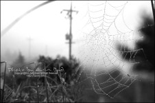 아림아빠™ - RaySoda