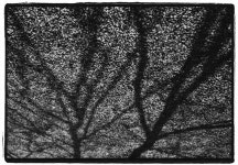 세상담기 - RaySoda