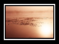 이슬내림 - RaySoda