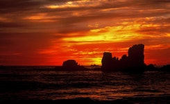 진고개신사 - RaySoda