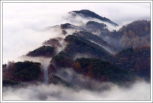 로커스™ - RaySoda