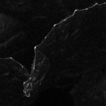 Image 472923 - RaySoda 보이나