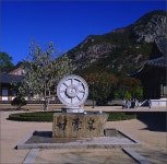 *빛그림 - RaySoda