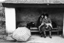 새미기픈물 - RaySoda