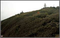 제갈선광 - RaySoda