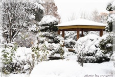 Image 488751 - RaySoda 용용선생