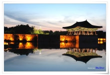 푸른가람 - RaySoda