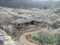 Image 512024 - RaySoda 행운의사나이