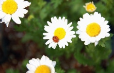 일방통행 - RaySoda