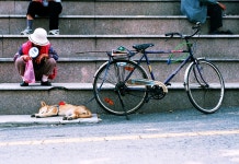 비니루™ - RaySoda