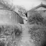 세상담기 - RaySoda