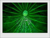 Image 547384 - RaySoda 조영