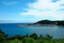 Image 552697 - RaySoda 뒤나미스