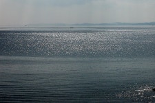 물댄 동산 - RaySoda