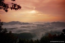 Image 614514 - RaySoda 용용선생
