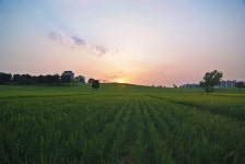 용용선생 - RaySoda