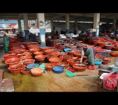 메타쉐콰이어 - RaySoda