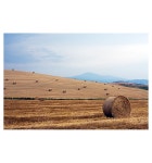 어린왕자(il piccolo principe) - RaySoda