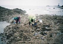 Image 650285 - RaySoda 천평하늘