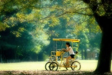 꿈의시작 - RaySoda