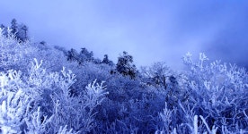 진고개신사 - RaySoda