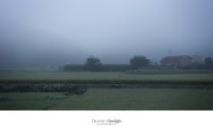 Stagione - RaySoda