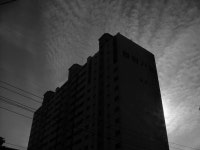 Image 681135 - RaySoda 송정29번
