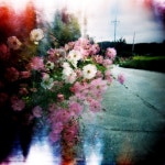 Image 700487 - RaySoda 비목어