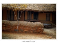 J I B   ( 박 웅 집 ) - RaySoda