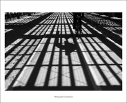 시나브로™ - RaySoda