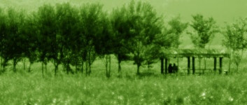 꿈의시작 - RaySoda