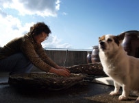 소행성 B612호 - RaySoda