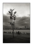 Image 732630 - RaySoda 기환