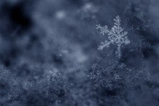 꿈의시작 - RaySoda