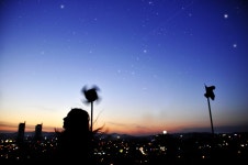 푸른정원 - RaySoda