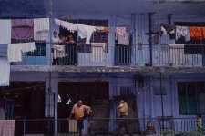 하쿠나마타타~ - RaySoda